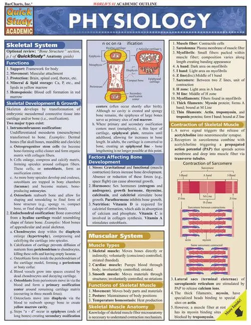 Cover: 9781572227910 | Physiology | W Randy Brooks | Broschüre | Englisch | 2003