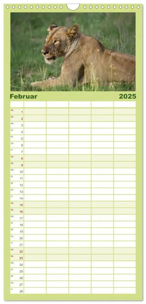 Bild: 9783457117910 | Familienplaner 2025 - Abenteuer Afrika - Im Paradies der Tiere mit...