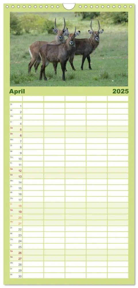 Bild: 9783457117910 | Familienplaner 2025 - Abenteuer Afrika - Im Paradies der Tiere mit...