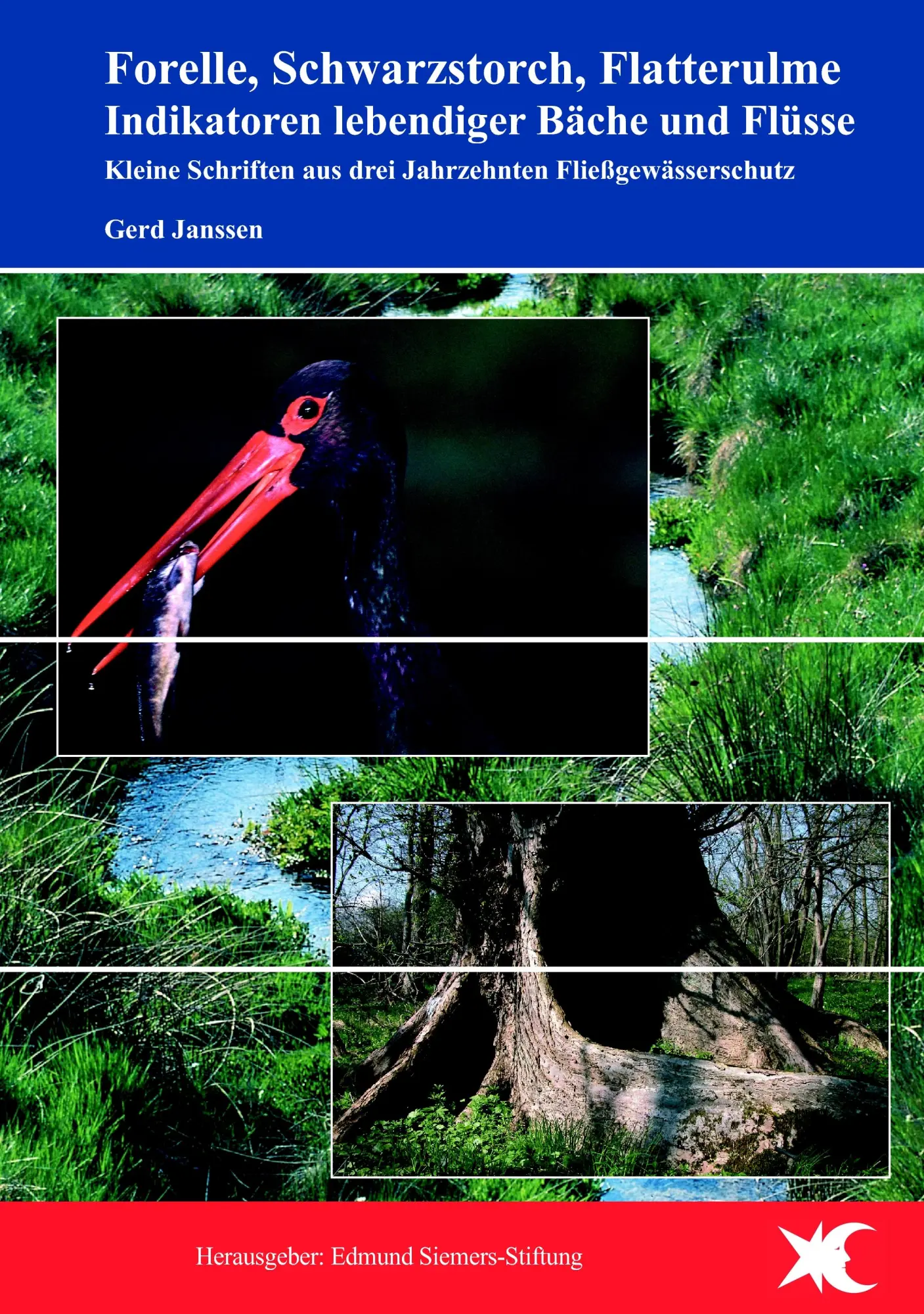 Cover: 9783833487910 | Forelle, Schwarzstorch, Flatterulme - Indikatoren lebendiger Bäche...