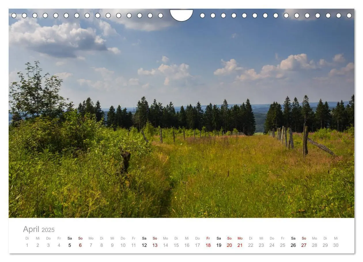Bild: 9783435398010 | Schönes Sauerland (Wandkalender 2025 DIN A4 quer), CALVENDO...