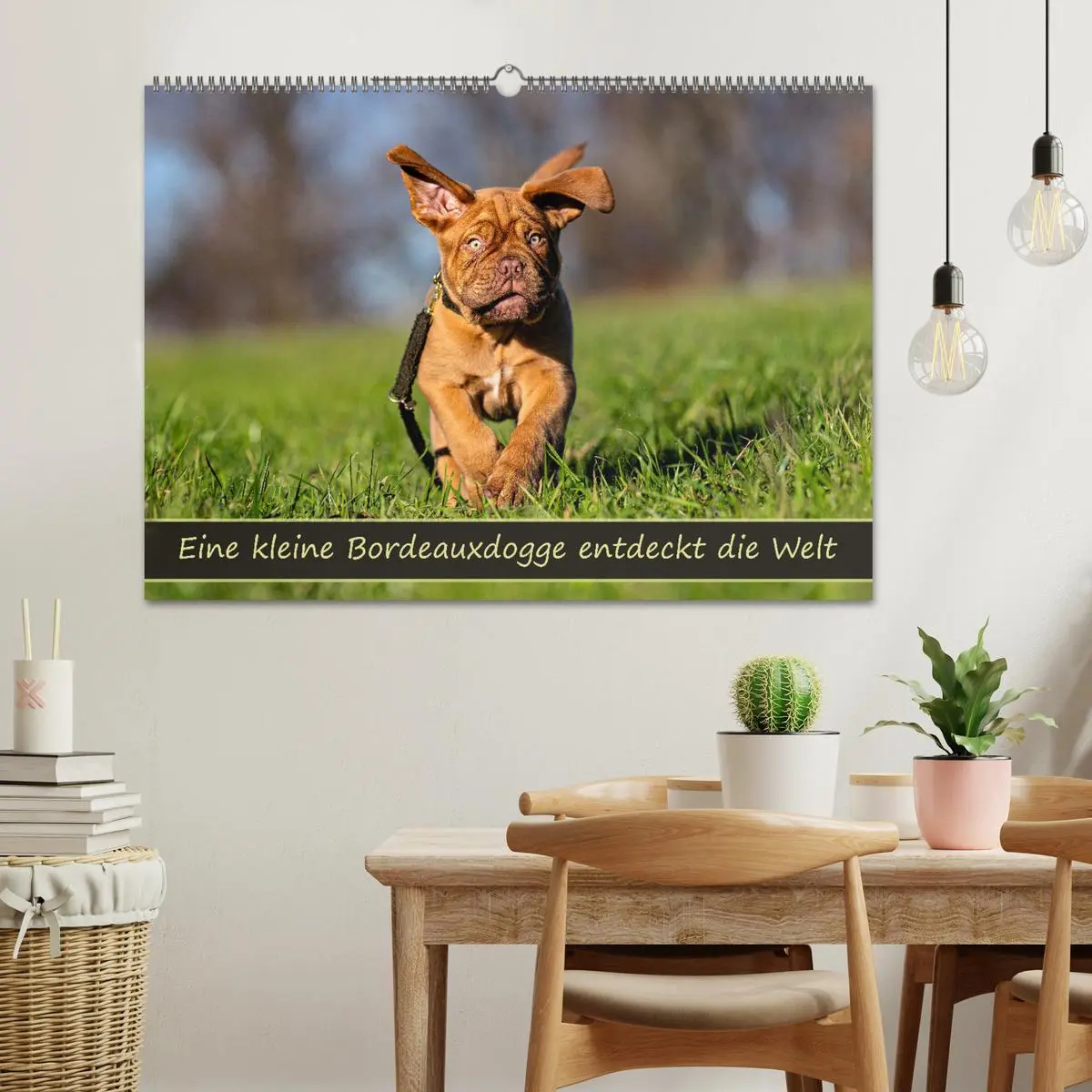Bild: 9783457248010 | Eine kleine Bordeauxdogge entdeckt die Welt (Wandkalender 2026 DIN...