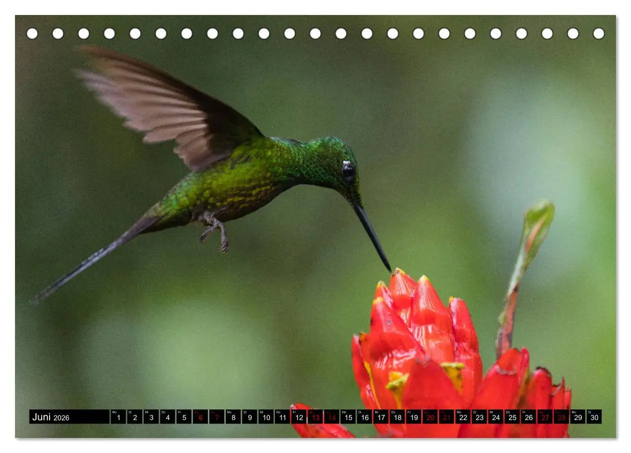 Bild: 9783457848210 | Traumwelt Ecuador (Tischkalender 2026 DIN A5 quer), CALVENDO...