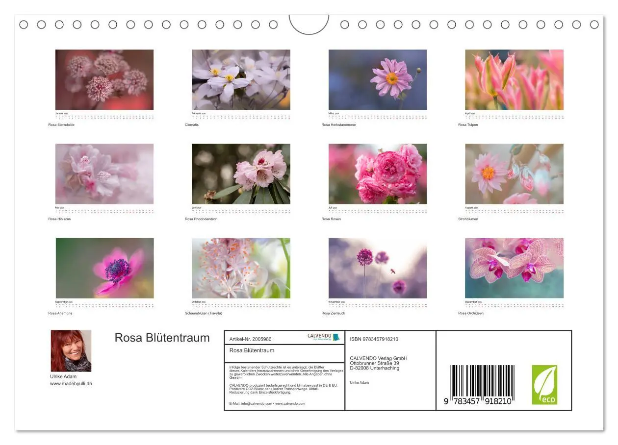 Bild: 9783457918210 | Rosa Blütentraum (Wandkalender 2026 DIN A4 quer), CALVENDO...