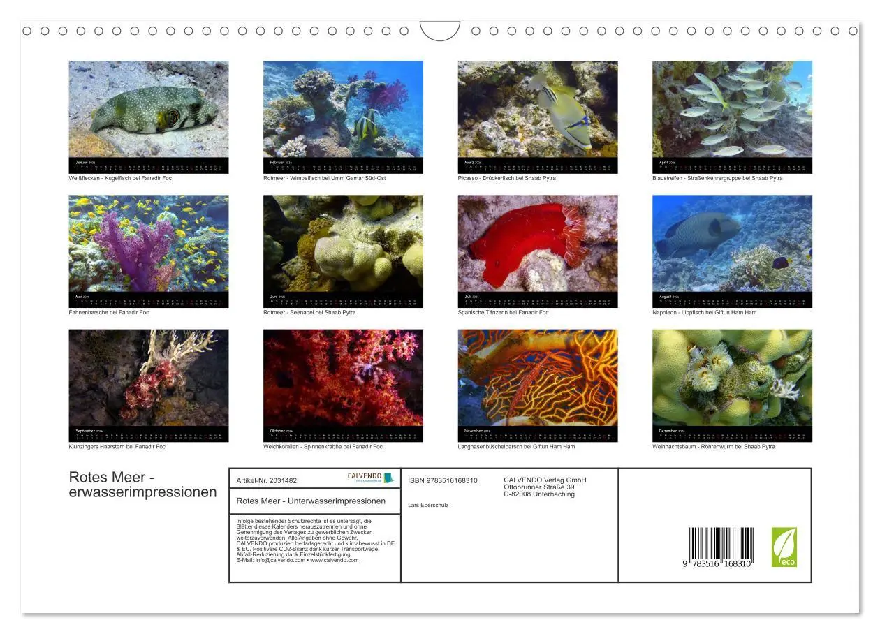Bild: 9783516168310 | Rotes Meer - Unterwasserimpressionen (Wandkalender 2026 DIN A3...