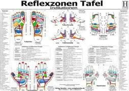 Cover: 9783939378310 | Reflexzonen Tafel. Indikationen. DIN A3 | Poster | Deutsch | 2010