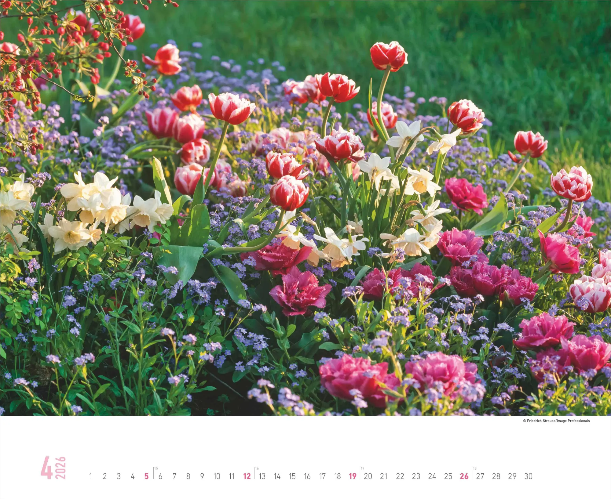 Bild: 4069095008410 | Gartenparadiese 2026 - Wandkalender 52 x 42,5 cm - Spiralbindung