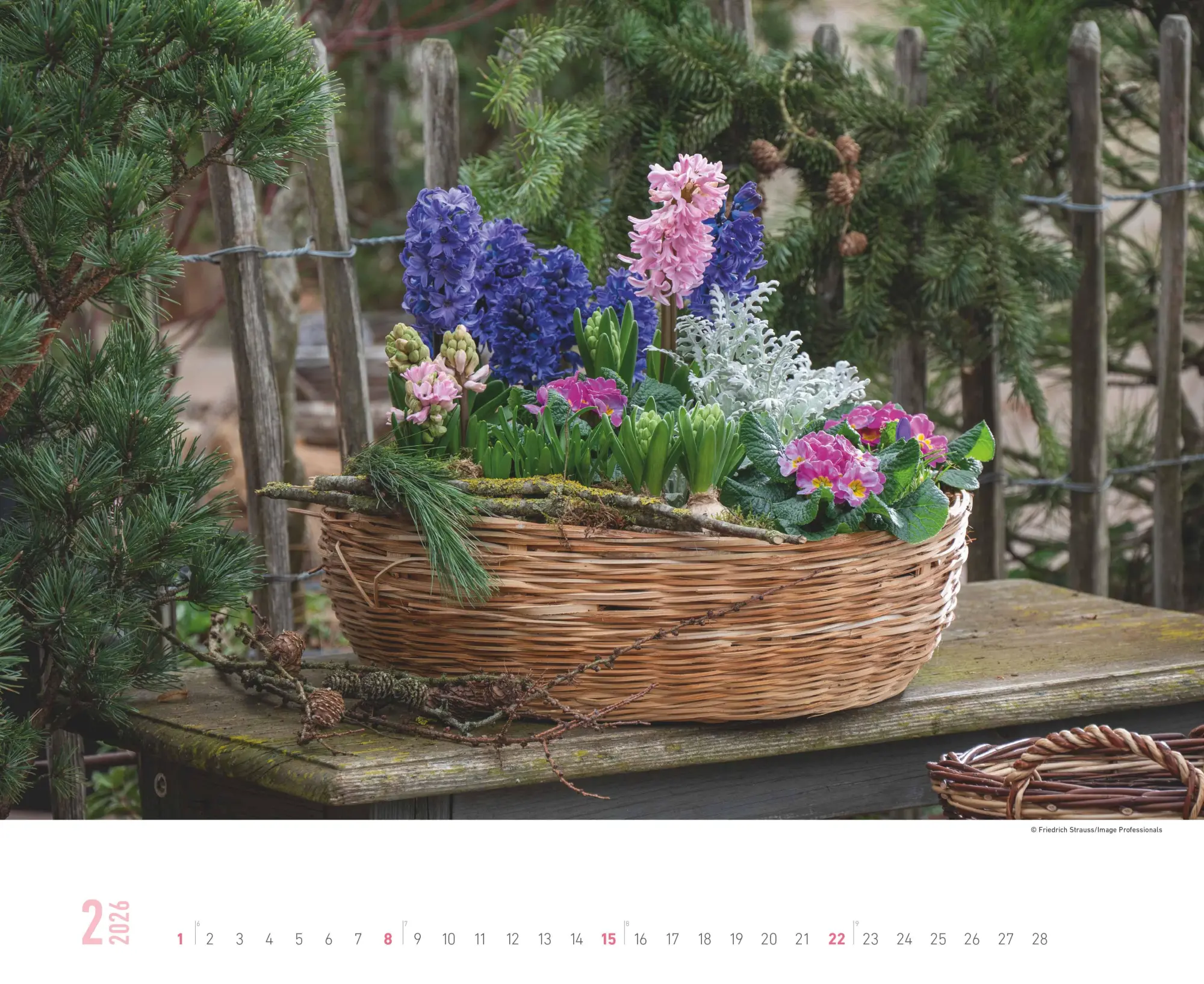 Bild: 4069095008410 | Gartenparadiese 2026 - Wandkalender 52 x 42,5 cm - Spiralbindung