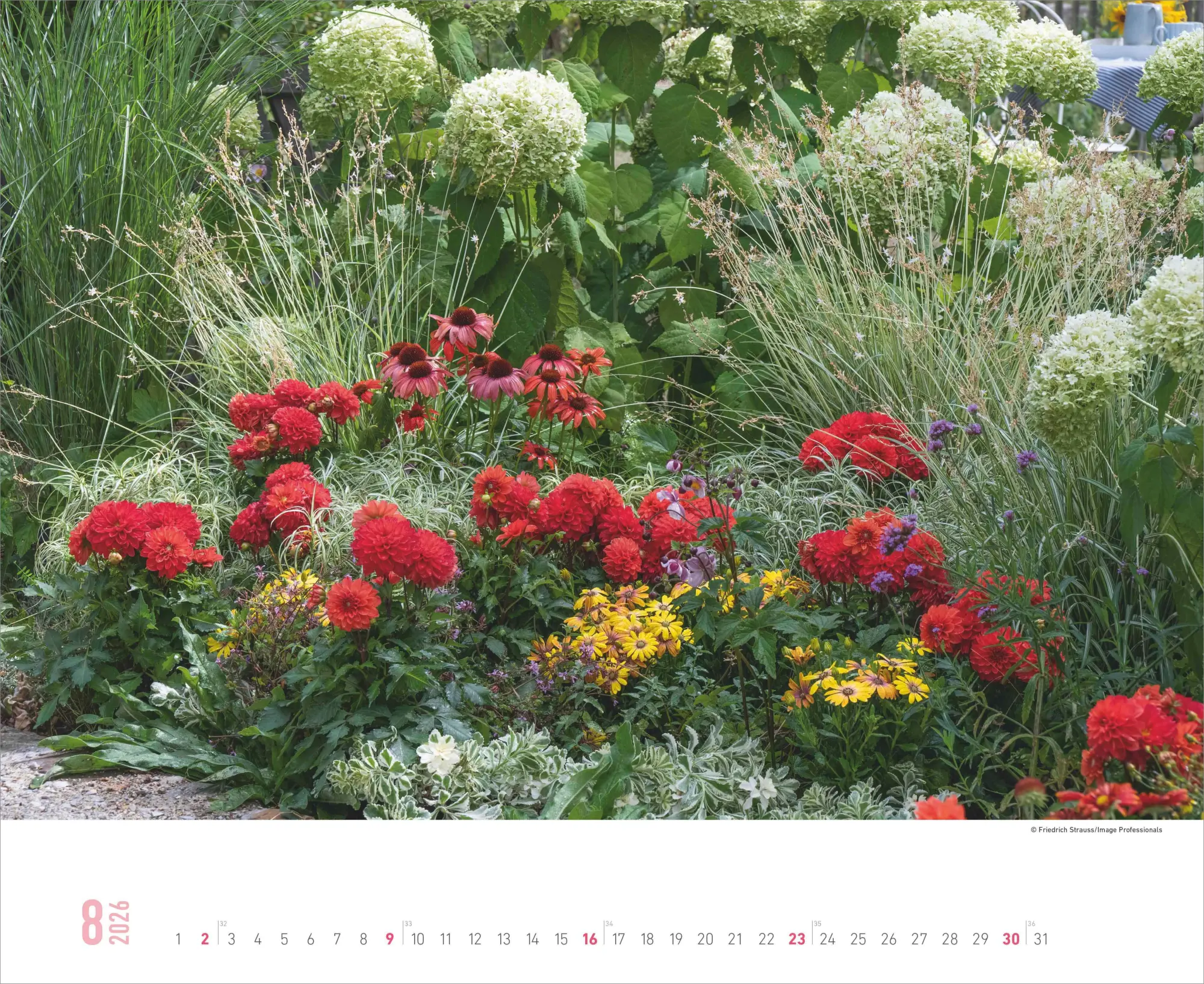 Bild: 4069095008410 | Gartenparadiese 2026 - Wandkalender 52 x 42,5 cm - Spiralbindung