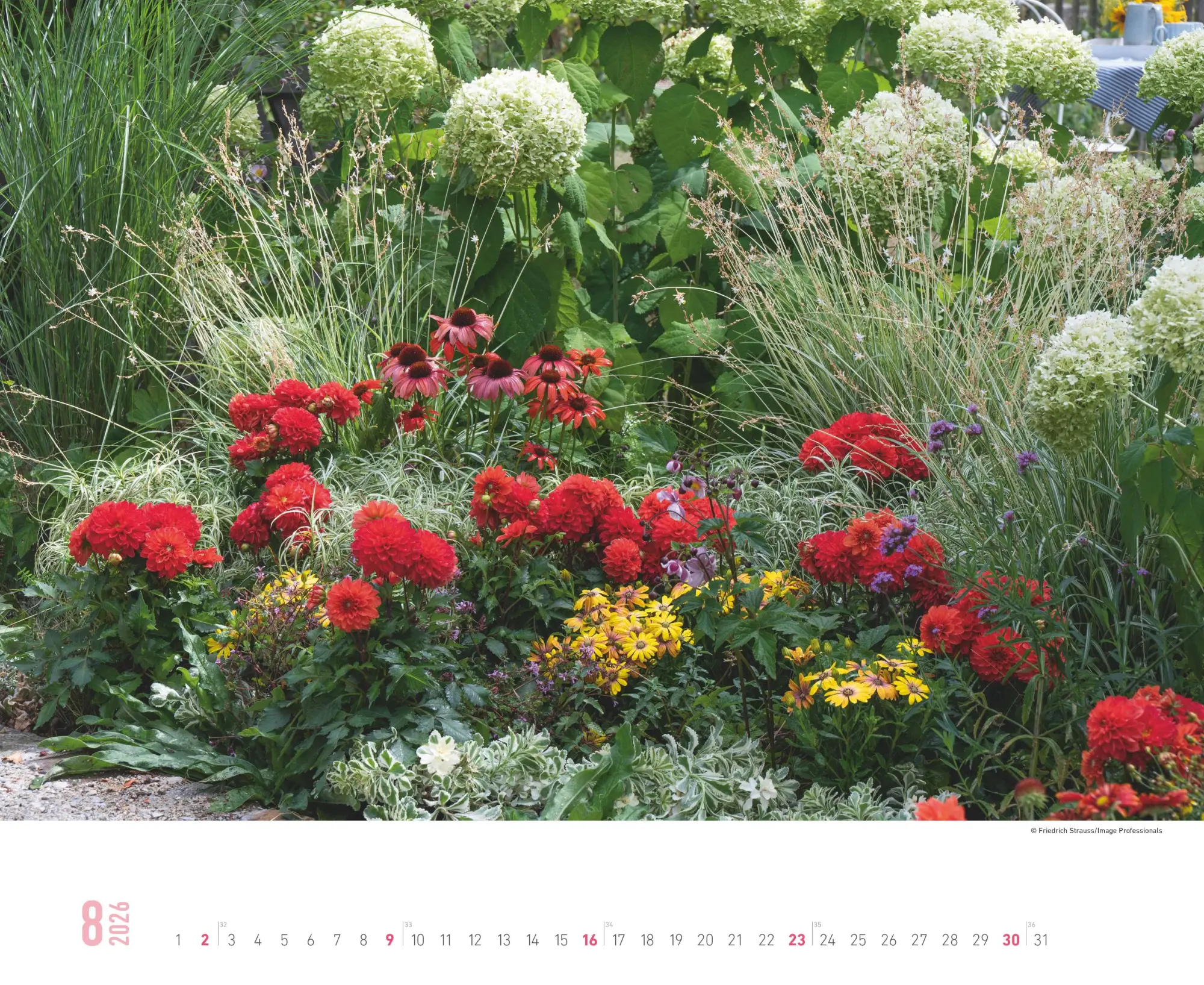 Bild: 4069095008410 | Gartenparadiese 2026 - Wandkalender 52 x 42,5 cm - Spiralbindung
