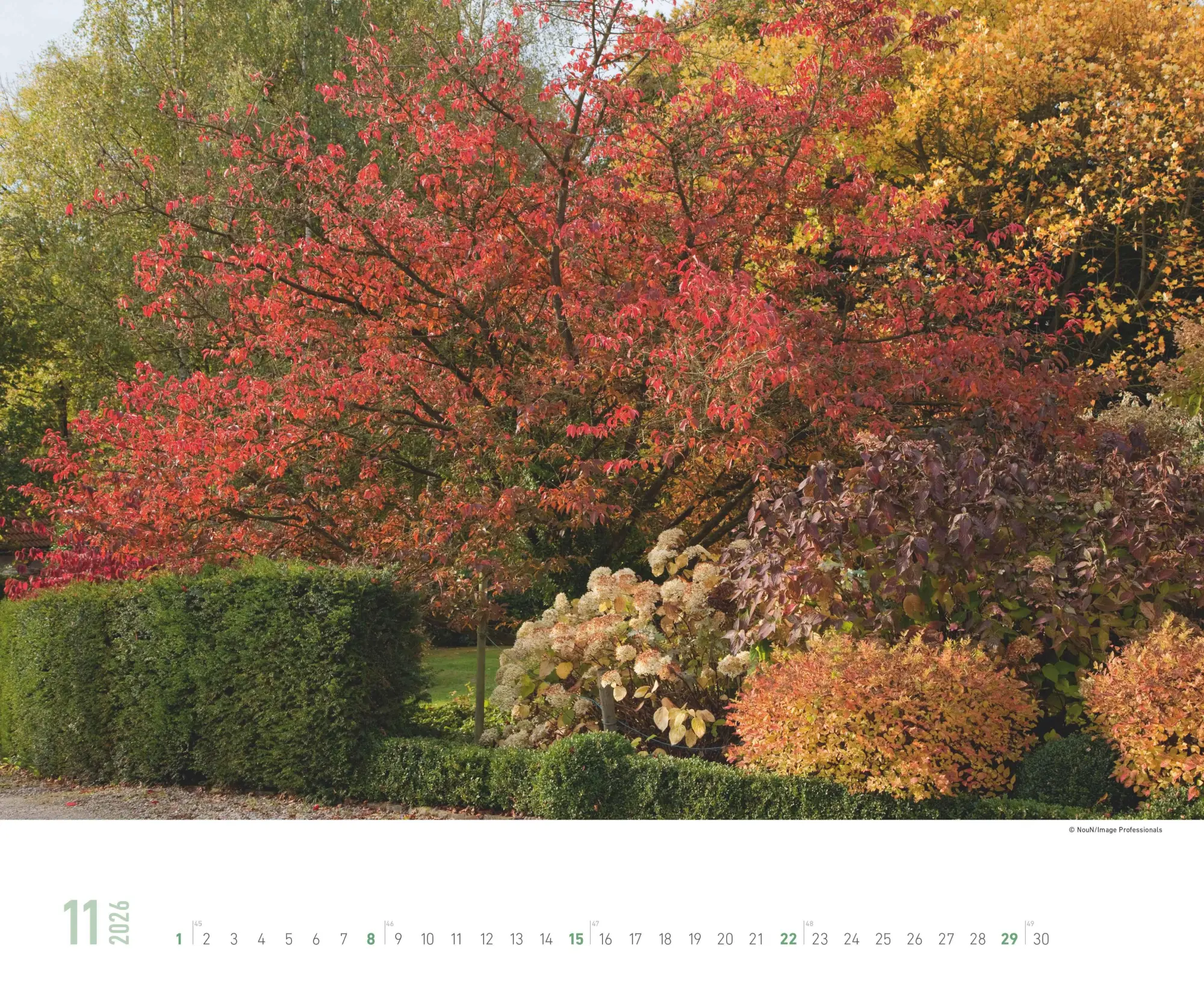 Bild: 4069095008410 | Gartenparadiese 2026 - Wandkalender 52 x 42,5 cm - Spiralbindung