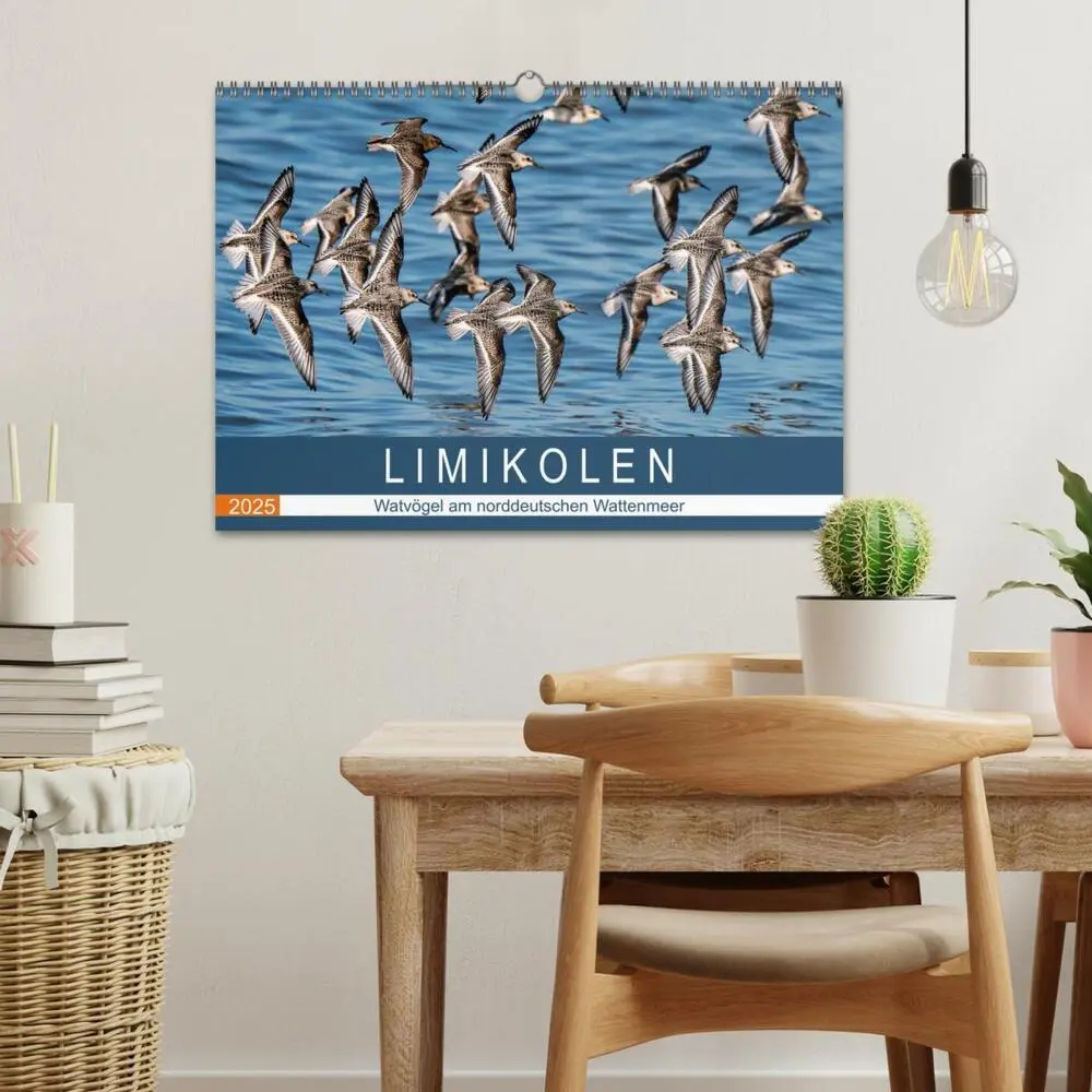 Bild: 9783435118410 | Limikolen - Watvögel am norddeutschen Wattenmeer (Wandkalender 2025...