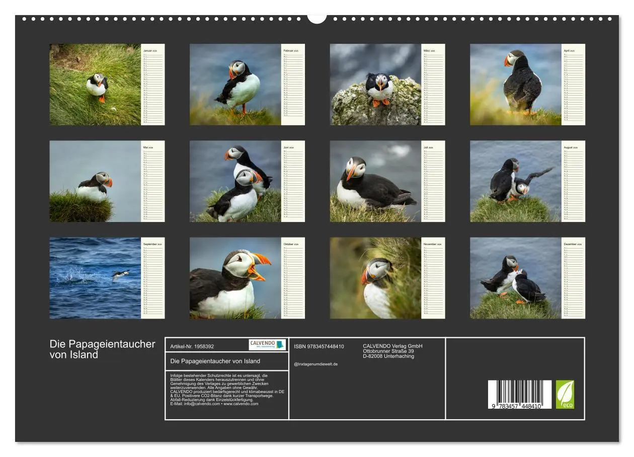 Bild: 9783457448410 | Die Papageientaucher von Island (hochwertiger Premium Wandkalender...