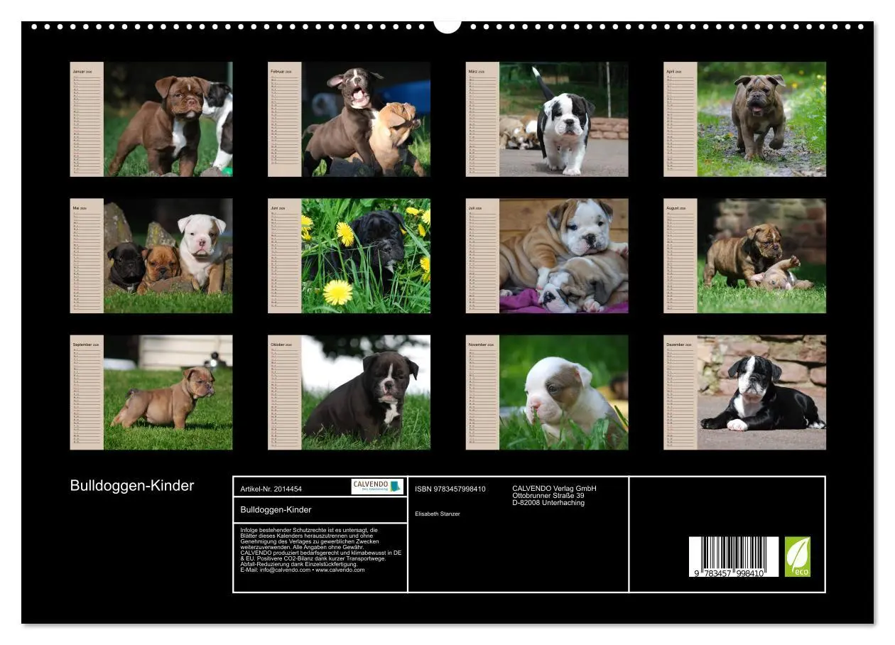 Bild: 9783457998410 | Bulldoggen-Kinder (hochwertiger Premium Wandkalender 2026 DIN A2...