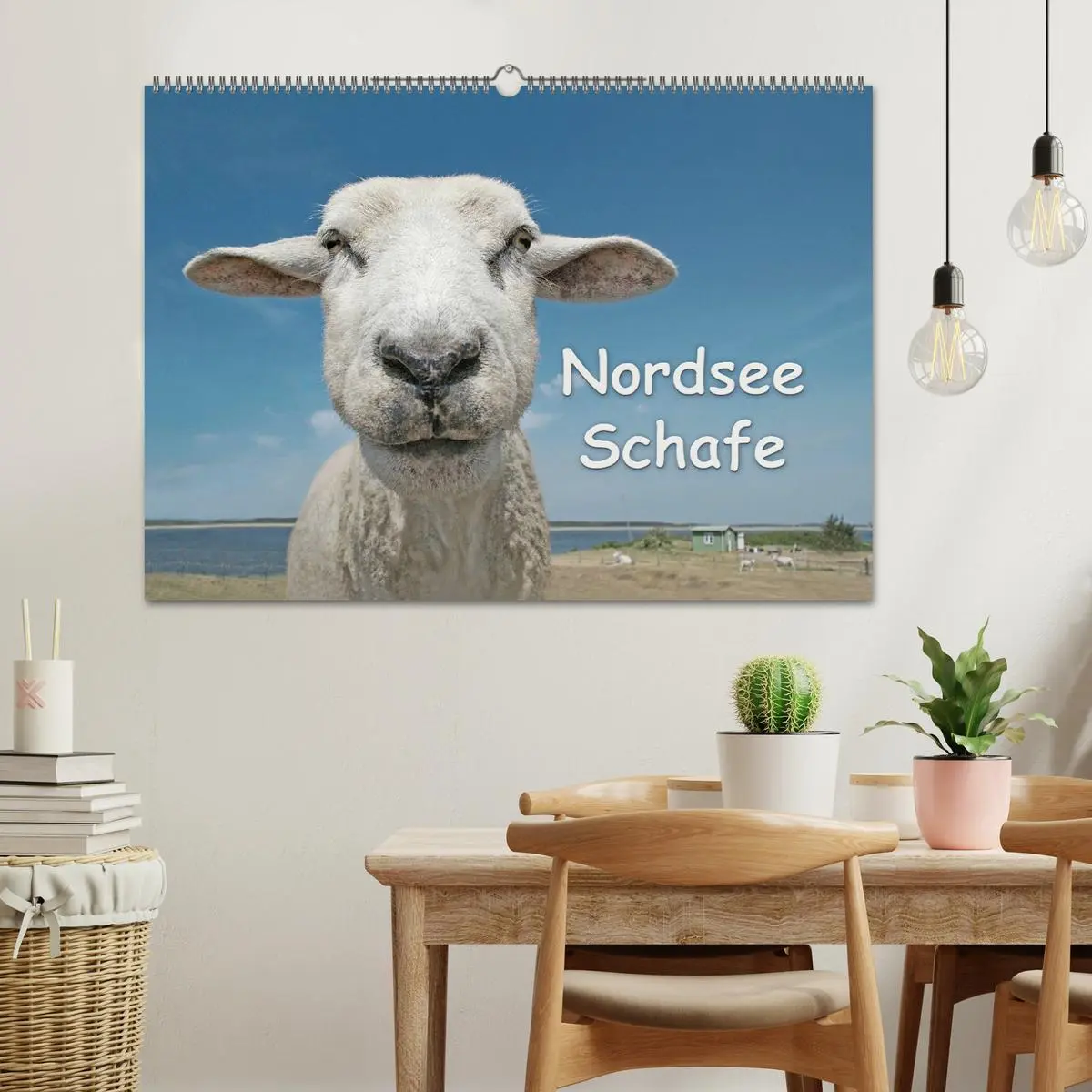 Bild: 9783516088410 | Nordsee Schafe (Wandkalender 2026 DIN A2 quer), CALVENDO...