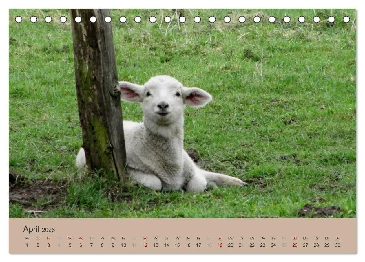 Bild: 9783516158410 | Krefelder Landschaften (Tischkalender 2026 DIN A5 quer), CALVENDO...