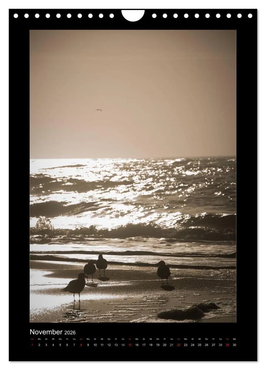 Bild: 9783516468410 | Geheimnisvolles Sylt 2026 (Wandkalender 2026 DIN A4 hoch), CALVENDO...