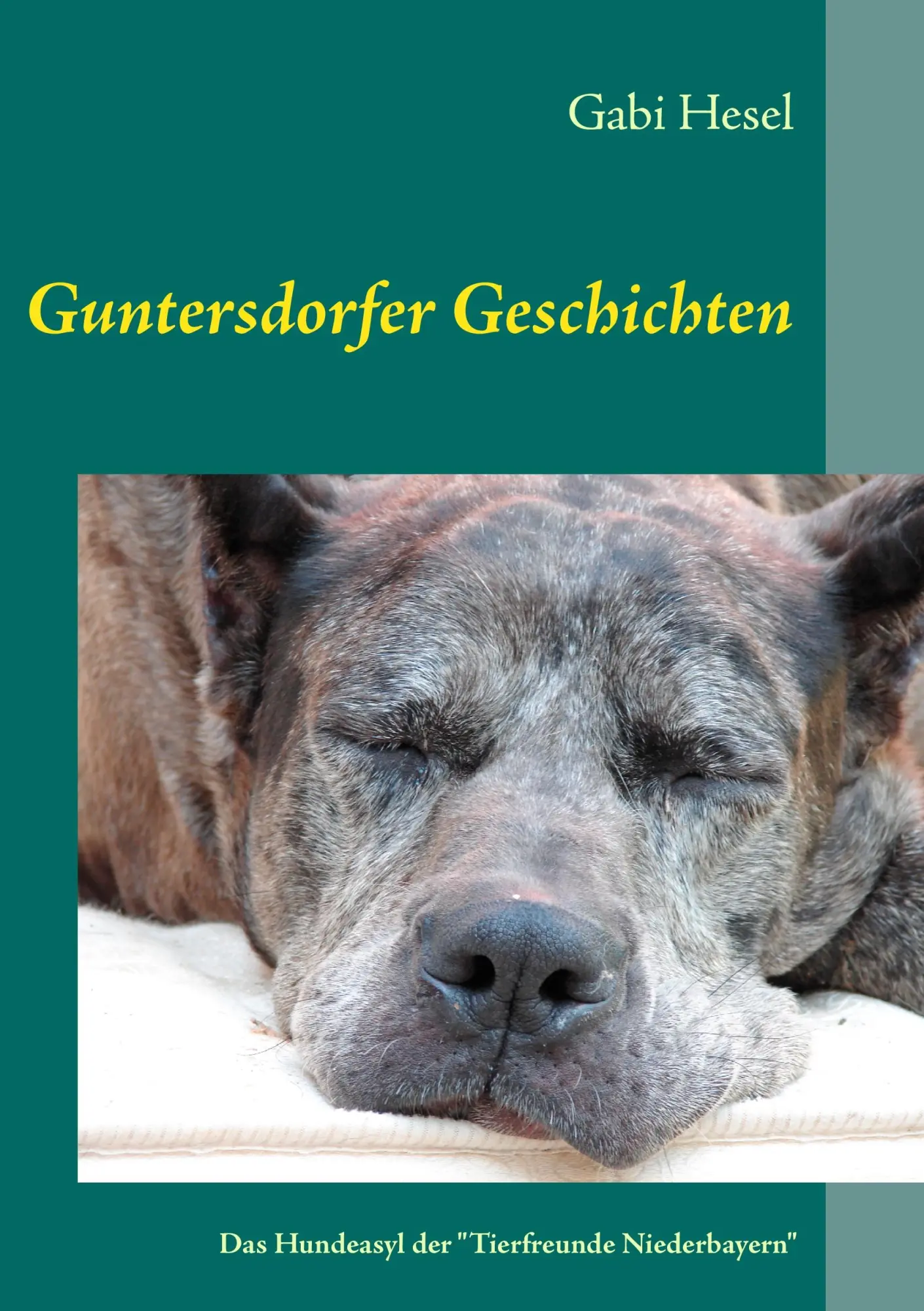 Cover: 9783839138410 | Guntersdorfer Geschichten | Gabi Hesel | Taschenbuch | 116 S. | 2011