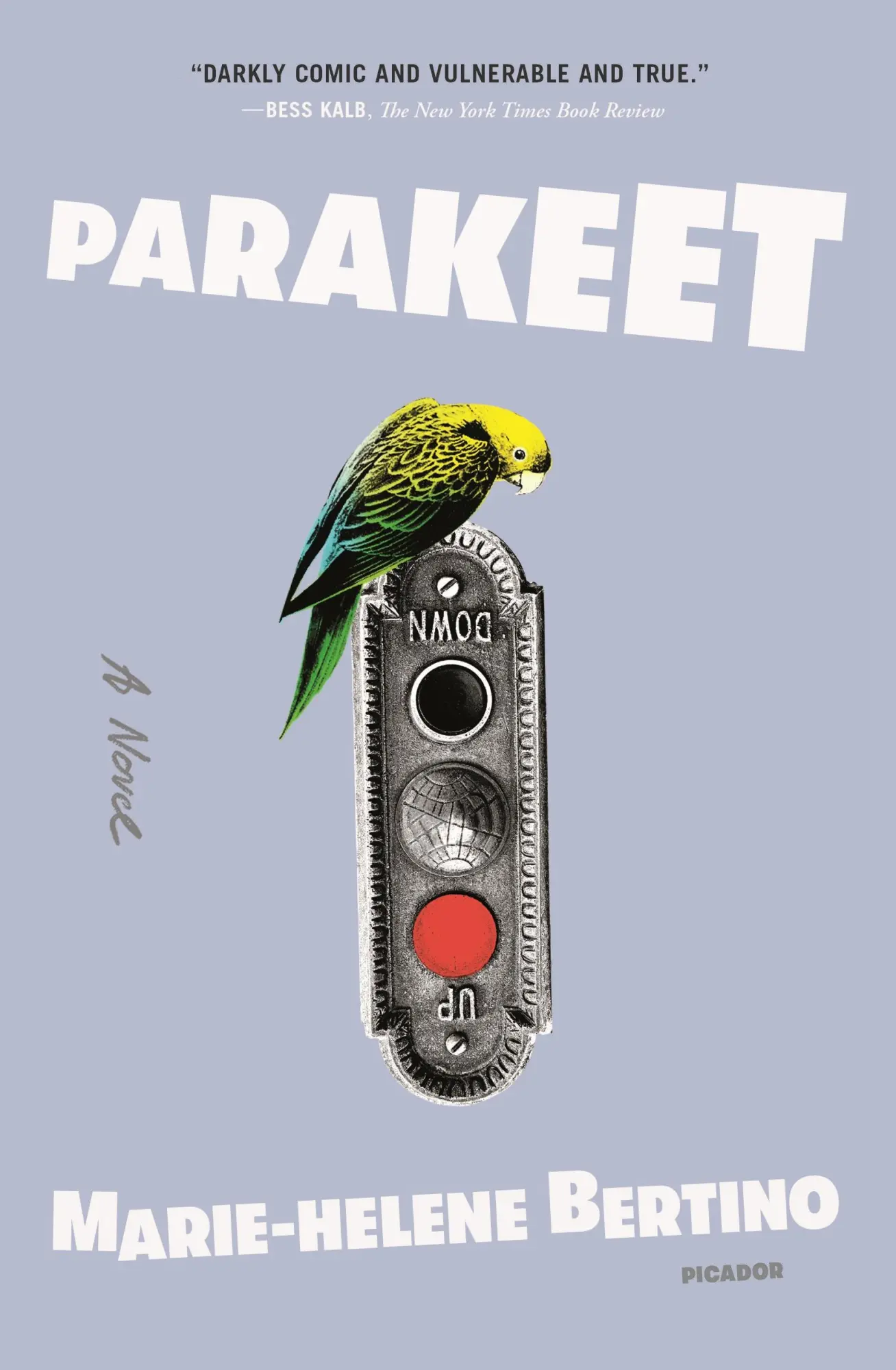 Cover: 9781250798510 | Parakeet | Marie-Helene Bertino | Taschenbuch | Englisch | 2021