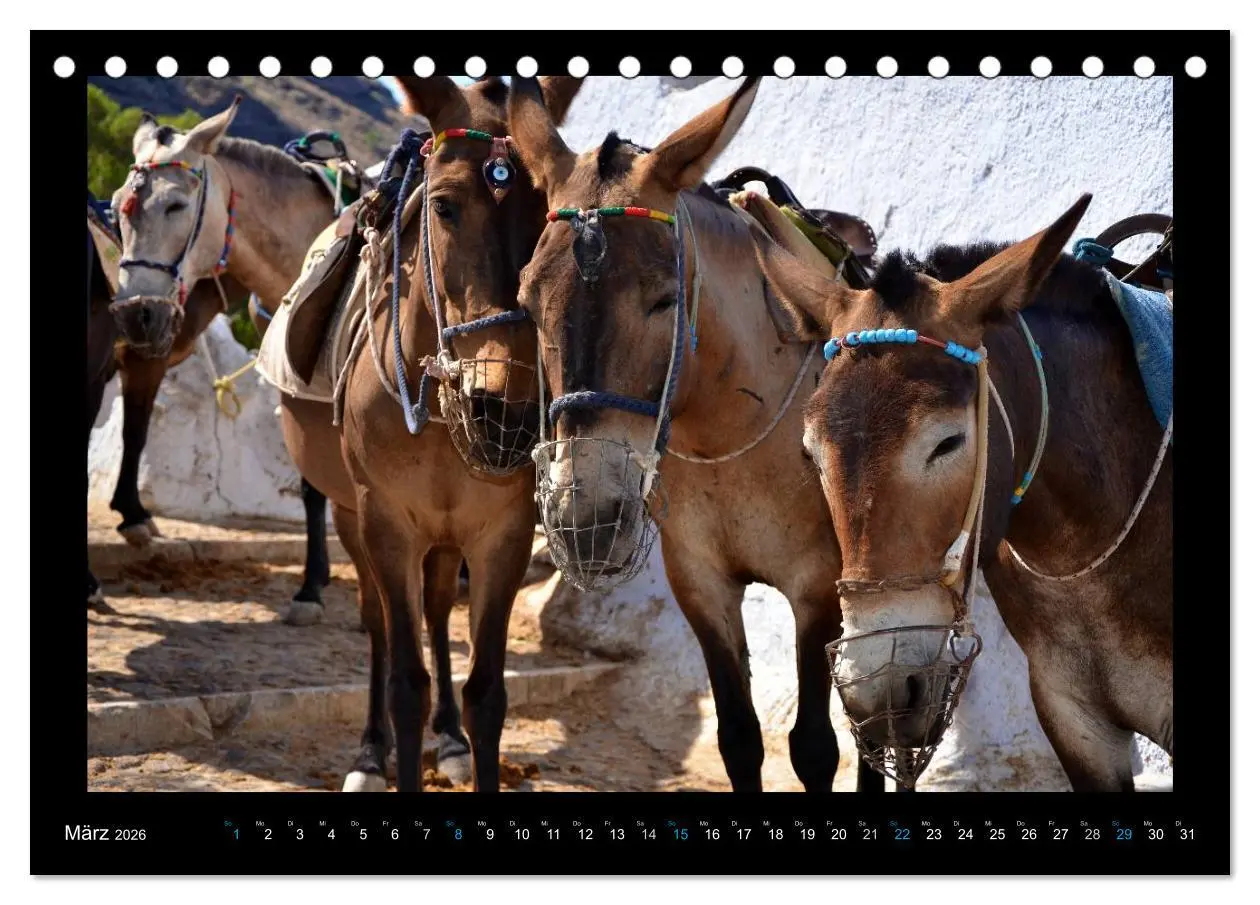 Bild: 9783516148510 | Santorini (Tischkalender 2026 DIN A5 quer), CALVENDO Monatskalender