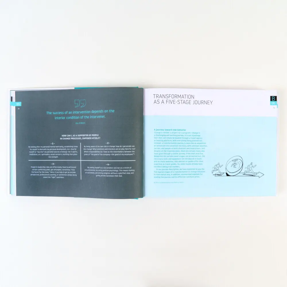 Bild: 9783593518510 | Change That Works | How to Make Transformation Happen | Buch | 401 S.