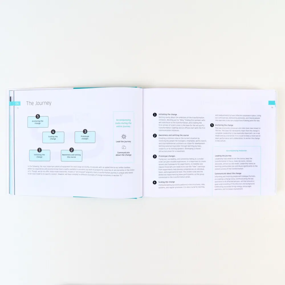 Bild: 9783593518510 | Change That Works | How to Make Transformation Happen | Buch | 401 S.