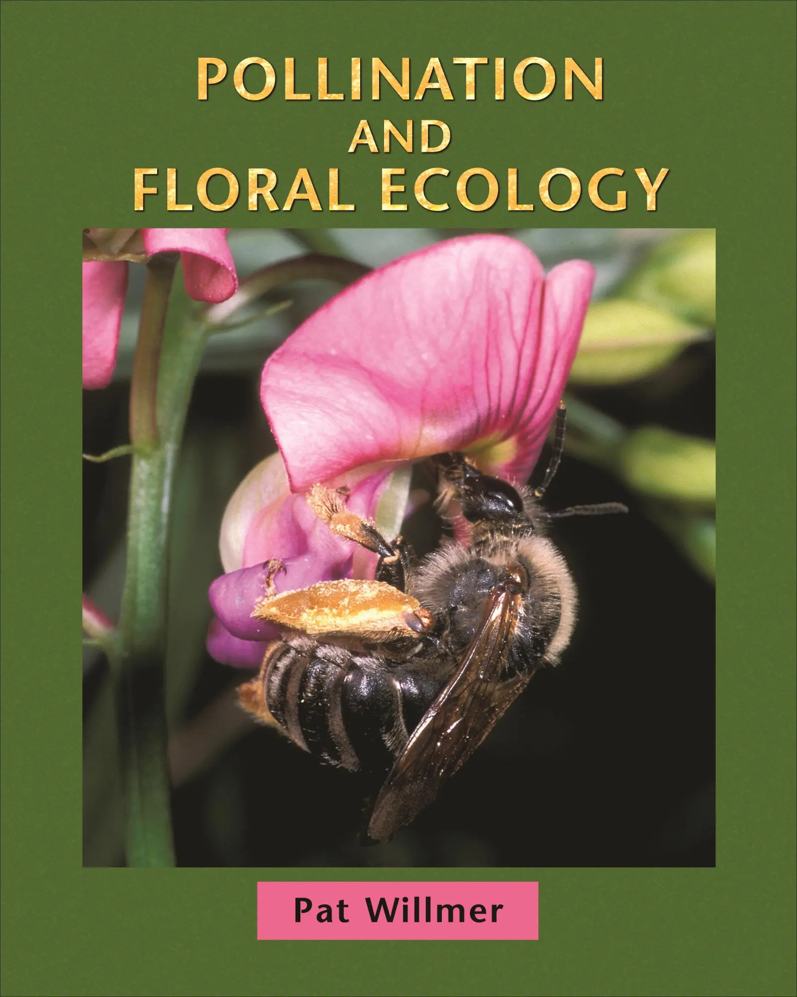 Cover: 9780691128610 | Pollination and Floral Ecology | Patricia Willmer | Buch | Englisch