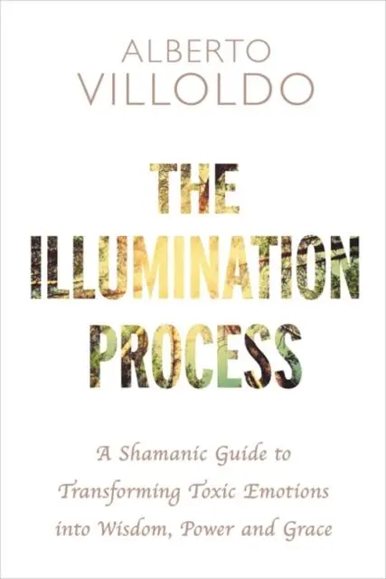 Cover: 9781781808610 | The Illumination Process | Alberto Villoldo | Taschenbuch | Englisch