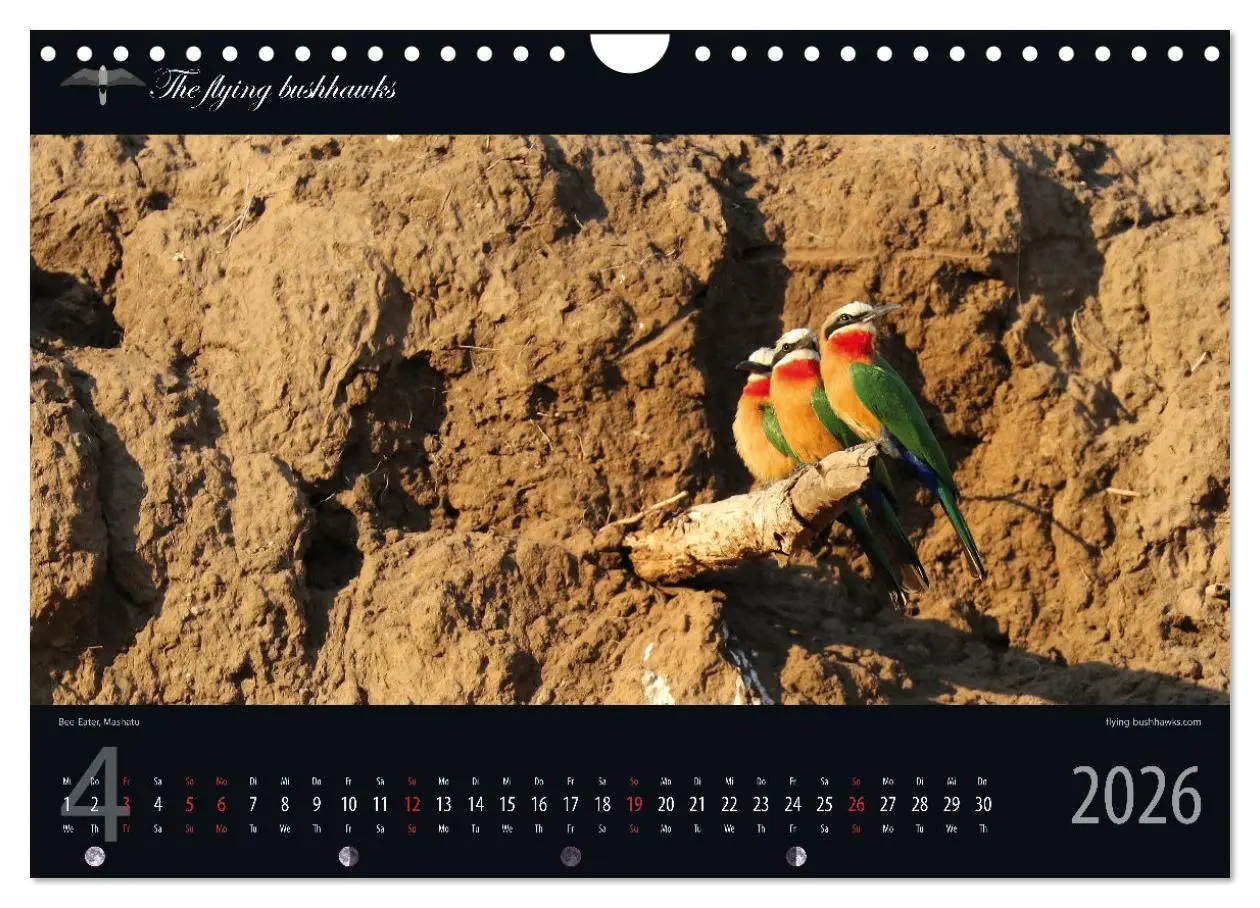 Bild: 9783457278710 | Botswana Blickwinkel 2026 (Wandkalender 2026 DIN A4 quer), CALVENDO...