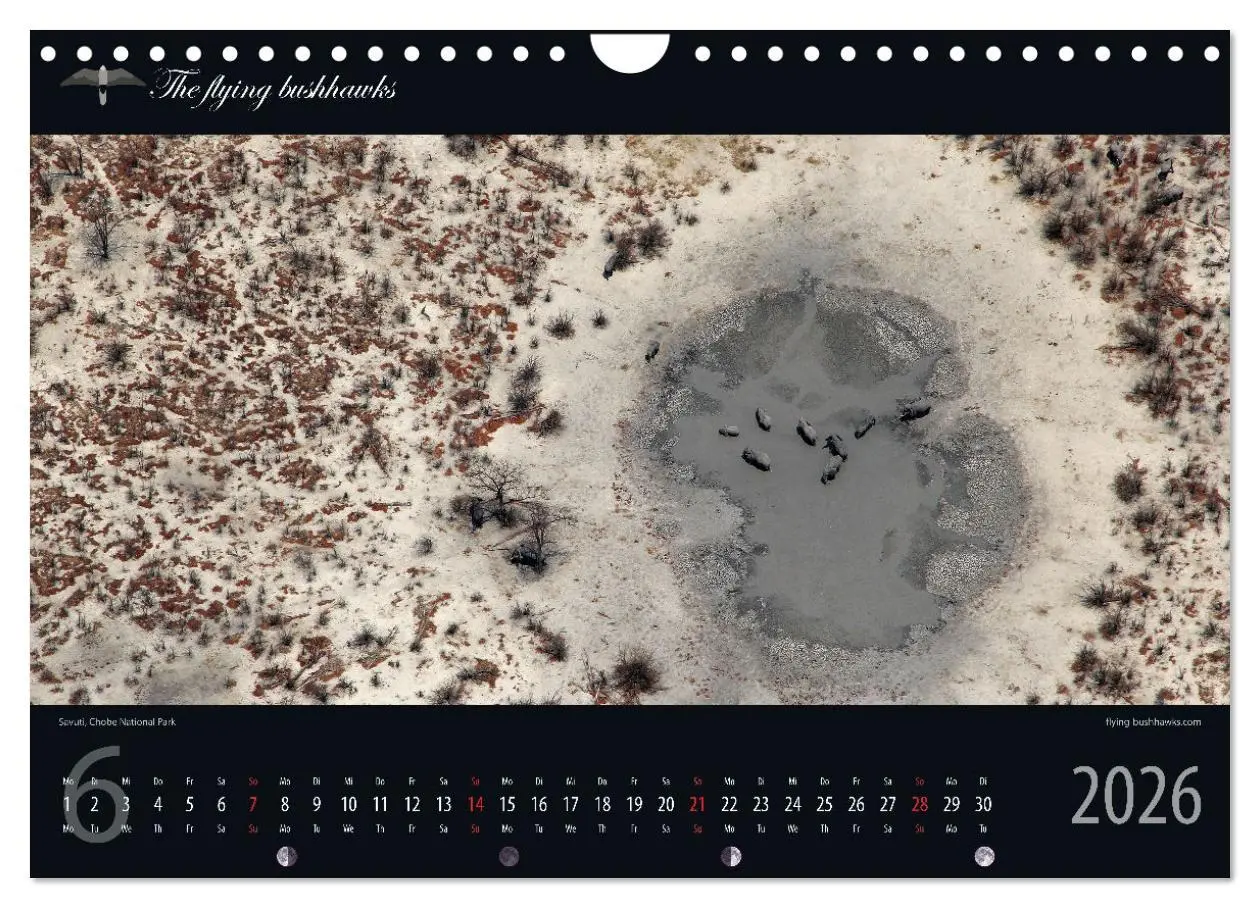 Bild: 9783457278710 | Botswana Blickwinkel 2026 (Wandkalender 2026 DIN A4 quer), CALVENDO...
