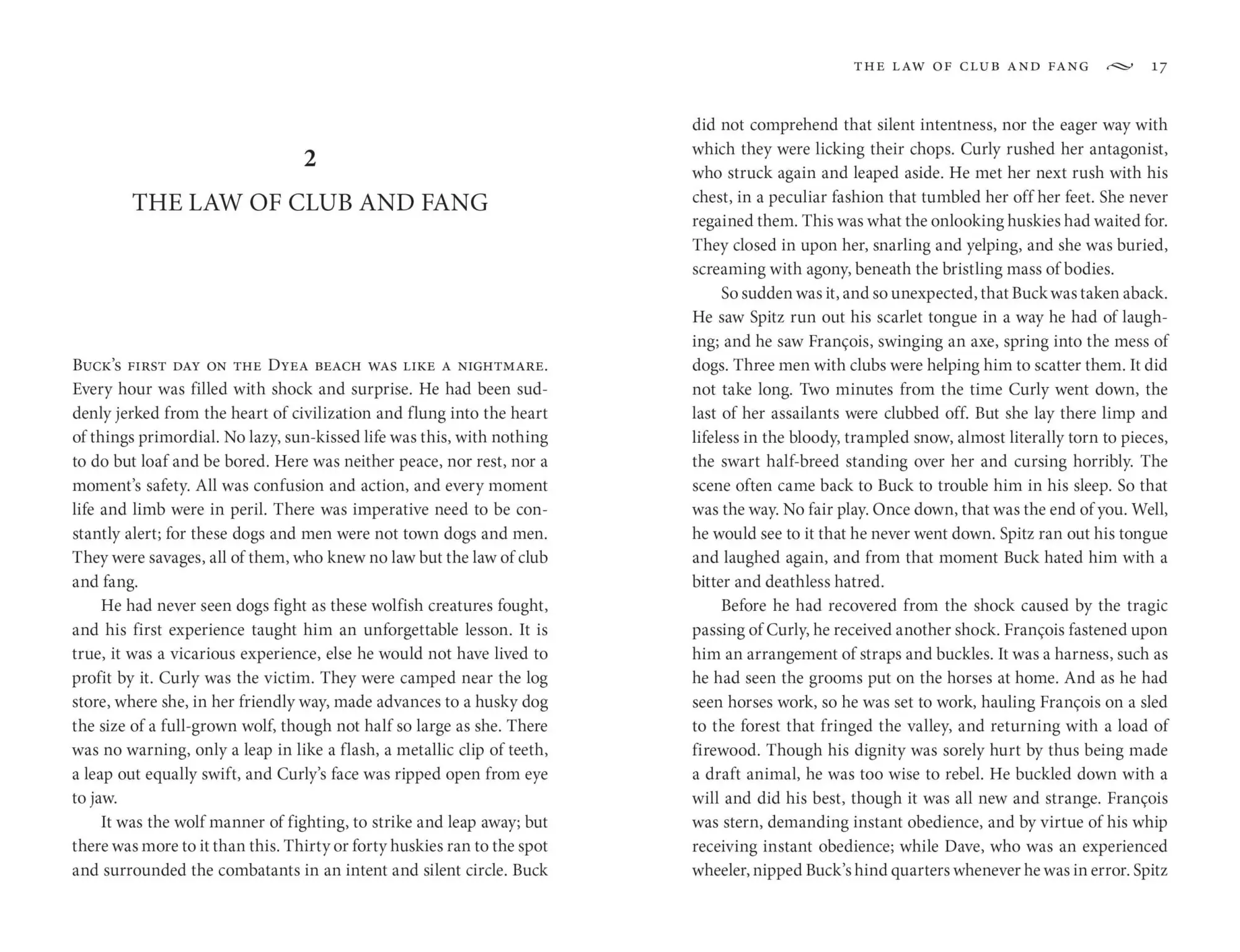Bild: 9781454948810 | The Call of the Wild and White Fang | Jack London | Taschenbuch | 2023