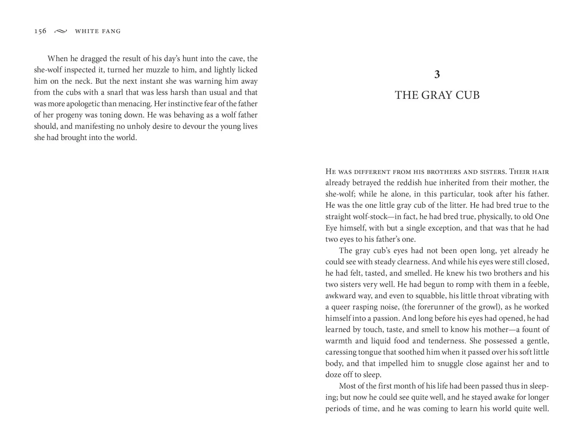 Bild: 9781454948810 | The Call of the Wild and White Fang | Jack London | Taschenbuch | 2023