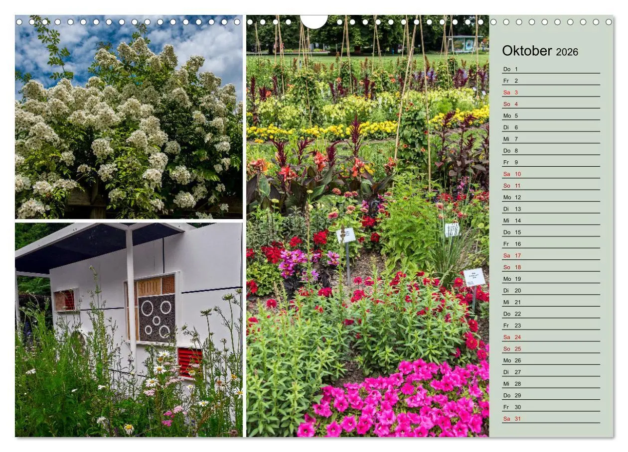 Bild: 9783457578810 | Gartenschau in Erfurt (Wandkalender 2026 DIN A3 quer), CALVENDO...
