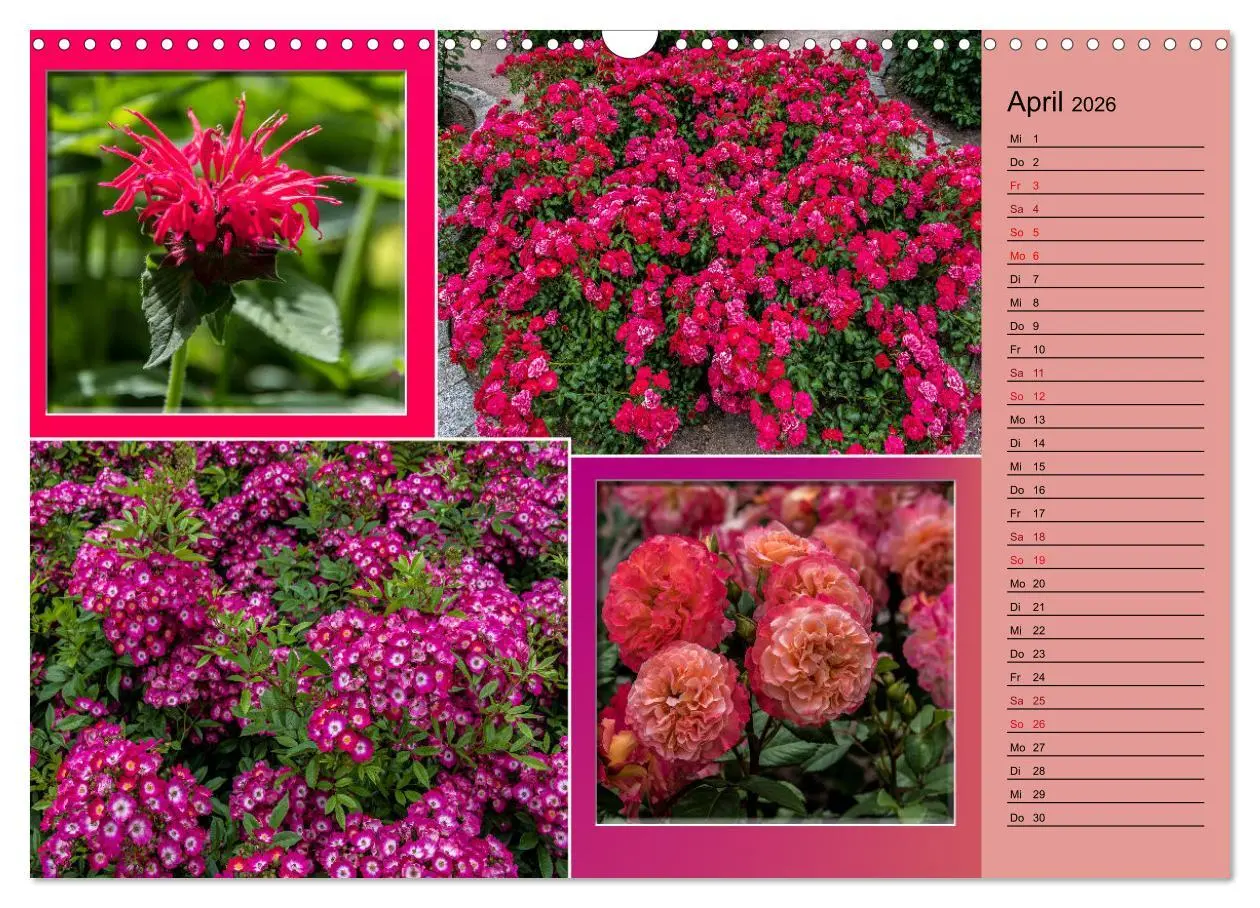 Bild: 9783457578810 | Gartenschau in Erfurt (Wandkalender 2026 DIN A3 quer), CALVENDO...