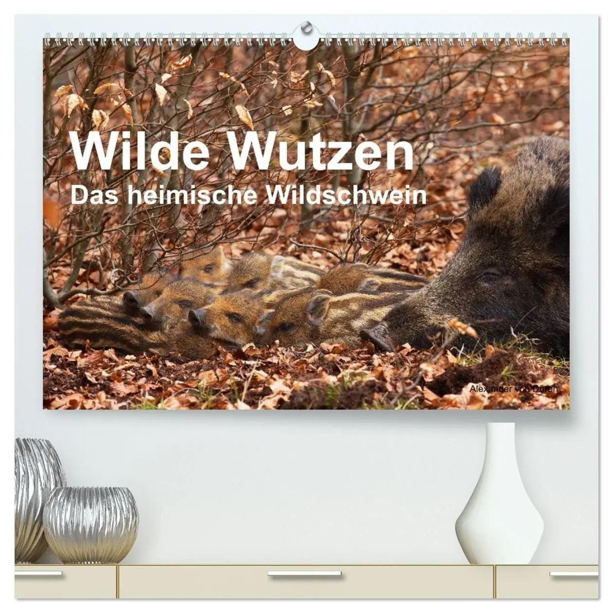 Cover: 9783594018910 | Wilde Wutzen. Das heimische Wildschwein (hochwertiger Premium...