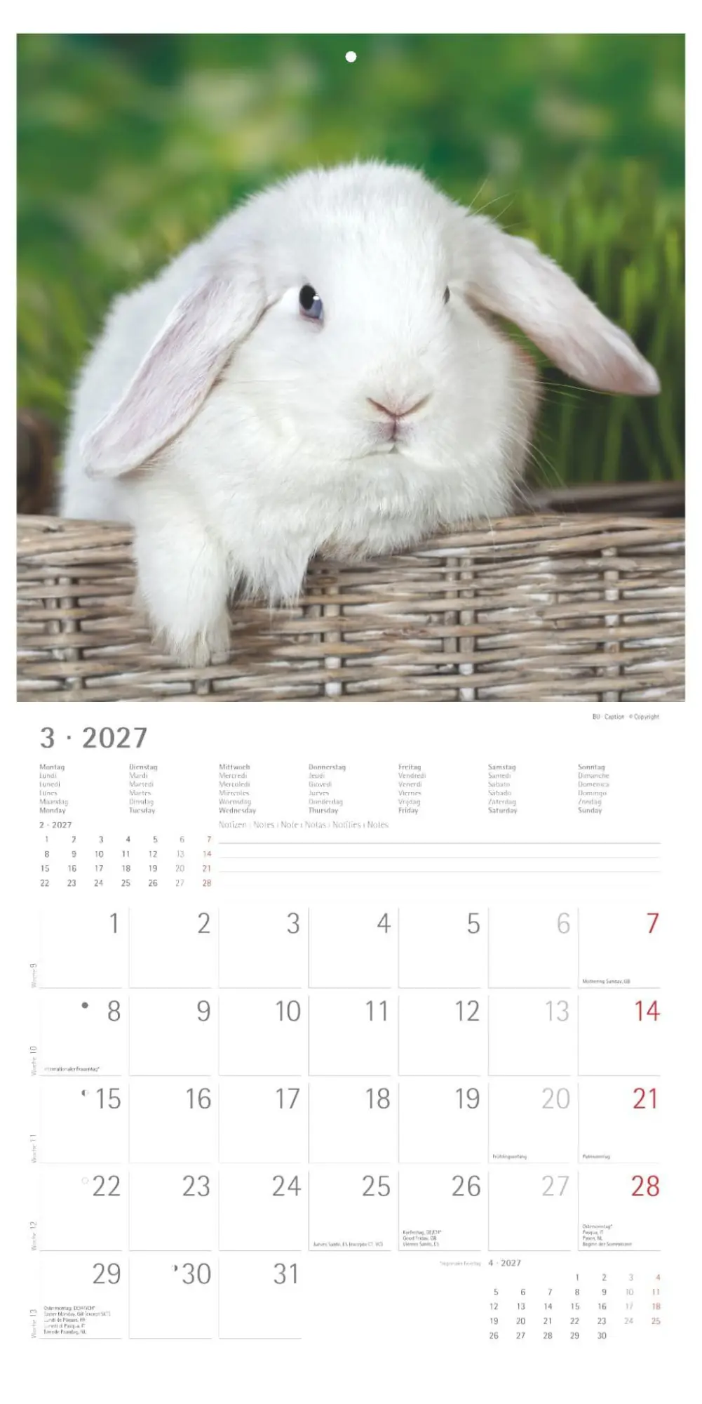 Bild: 4069095019010 | Kaninchen 2027 | Neumann Verlage GmbH &amp; Co KG | Kalender | 14 S.