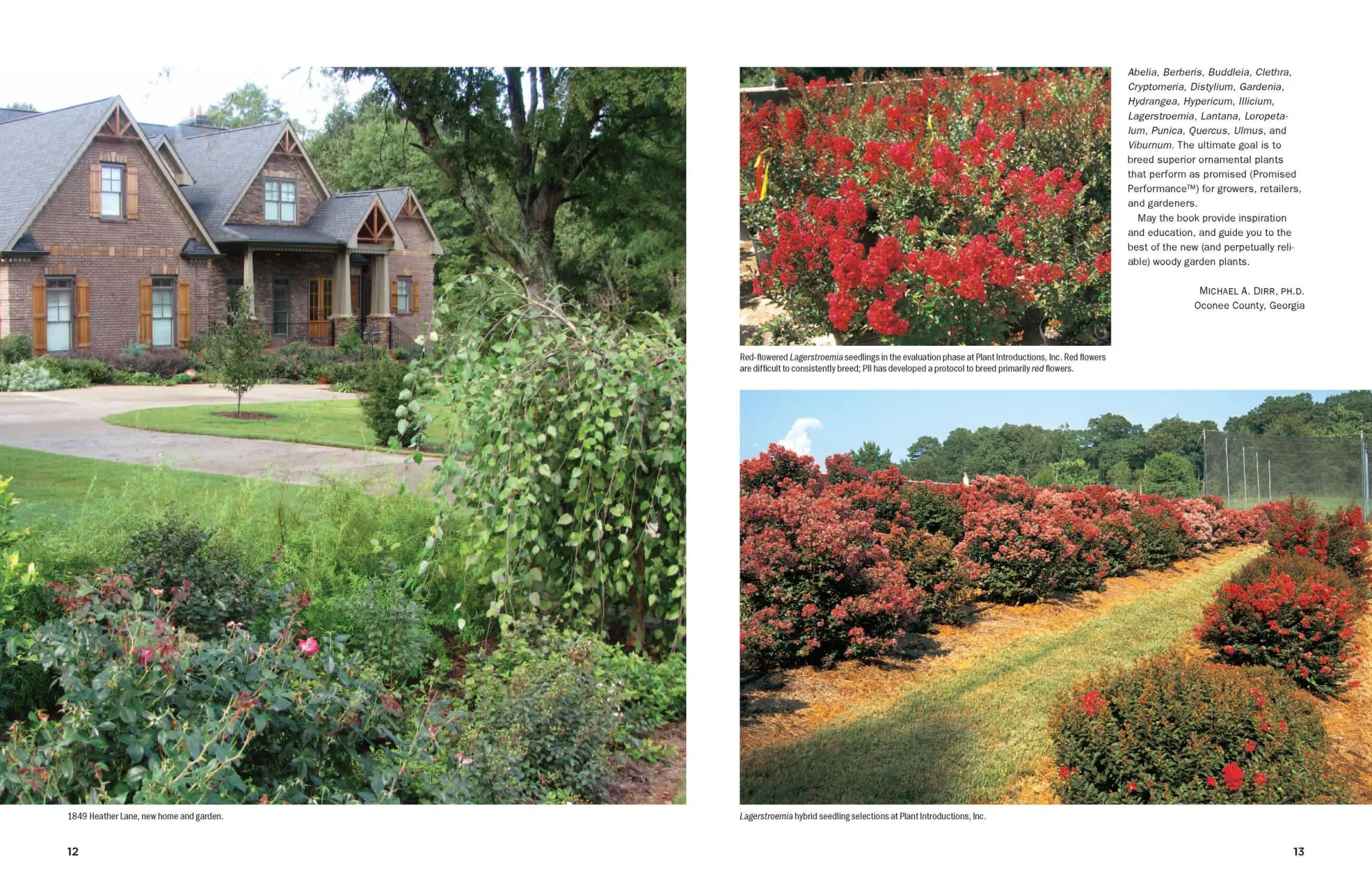 Bild: 9780881929010 | Dirr's Encyclopedia of Trees and Shrubs | Michael A Dirr | Buch | 2011