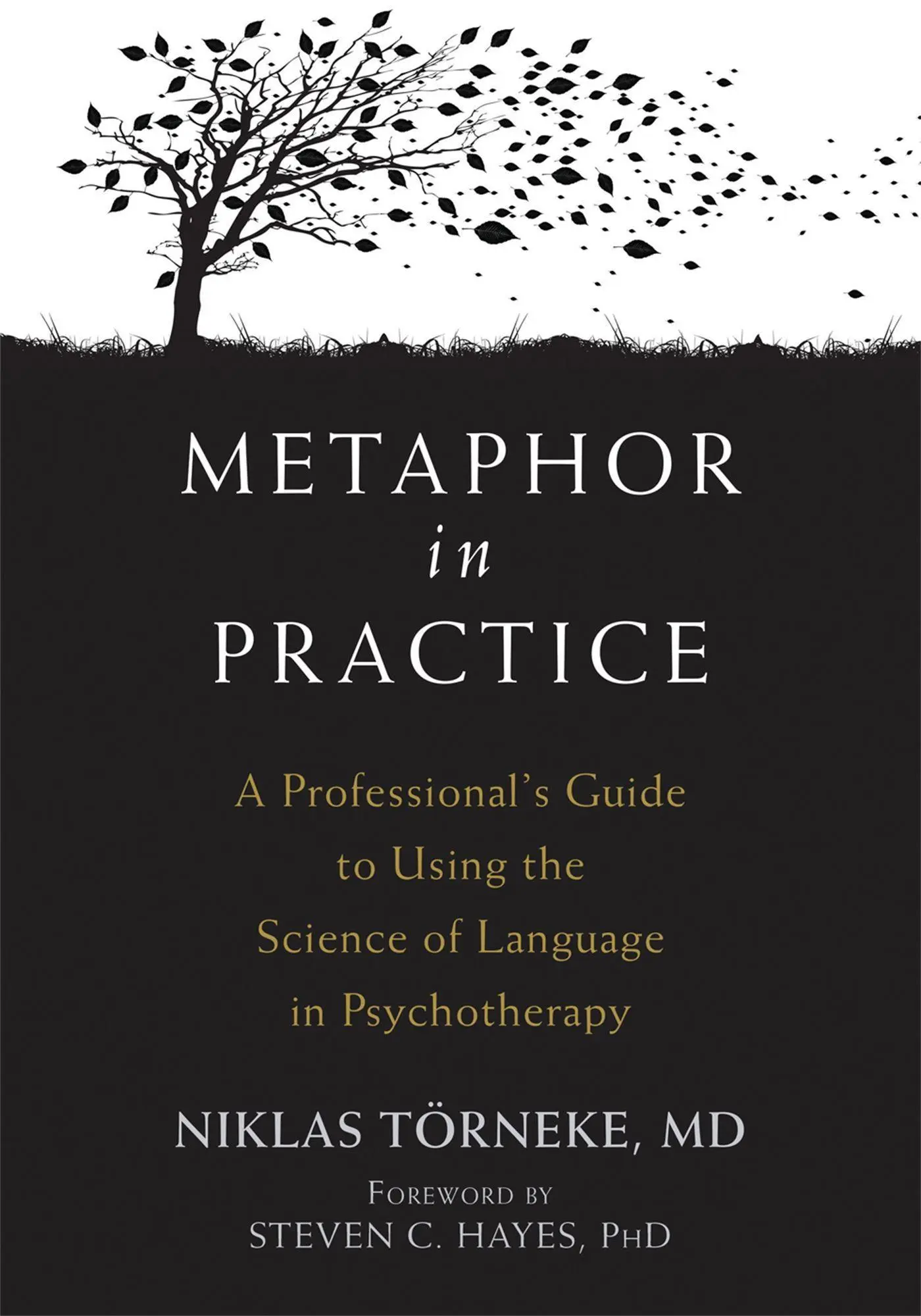 Cover: 9781626259010 | Metaphor in Practice | Niklas Törneke | Taschenbuch | Englisch | 2017
