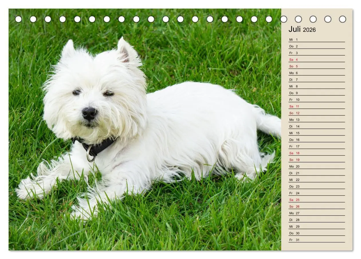 Bild: 9783457529010 | WEST HIGHLAND WHITE TERRIER - DER WESTIE - EIN HUND MIT CHARISMA...