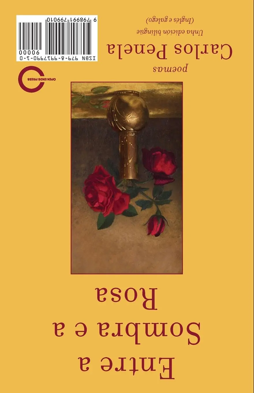 Rückseite: 9798991799010 | Between the Shadow and the Rose. Selected poems 2001-2024 | Penela