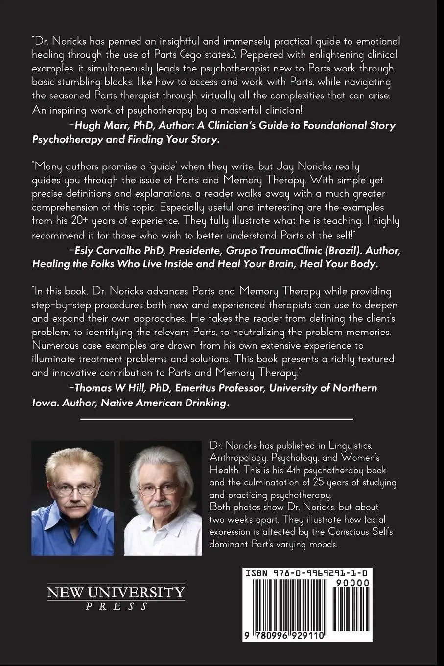 Rückseite: 9780996929110 | Parts and Memory Therapy | The Clinical Guide | Jay Noricks | Buch