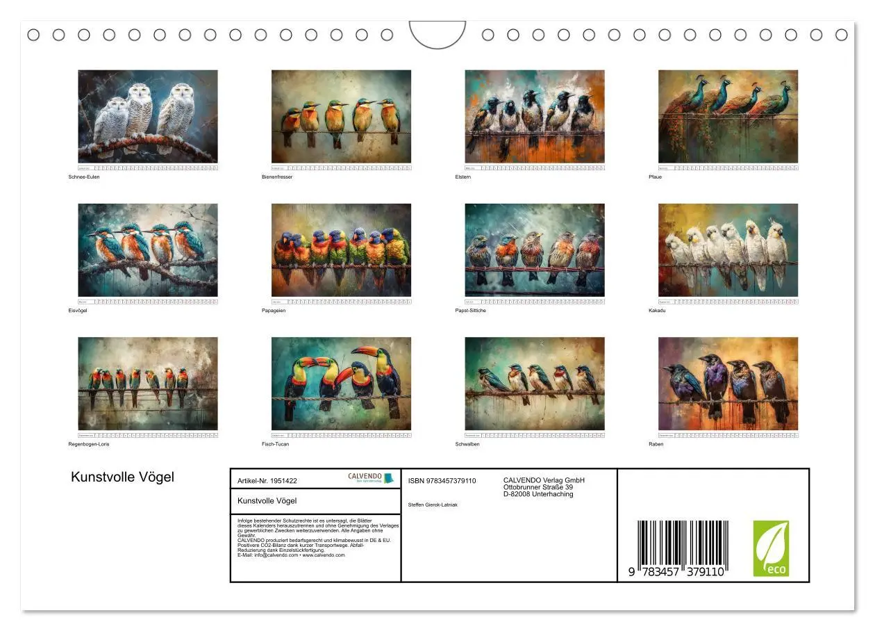 Bild: 9783457379110 | Kunstvolle Vögel (Wandkalender 2026 DIN A4 quer), CALVENDO...