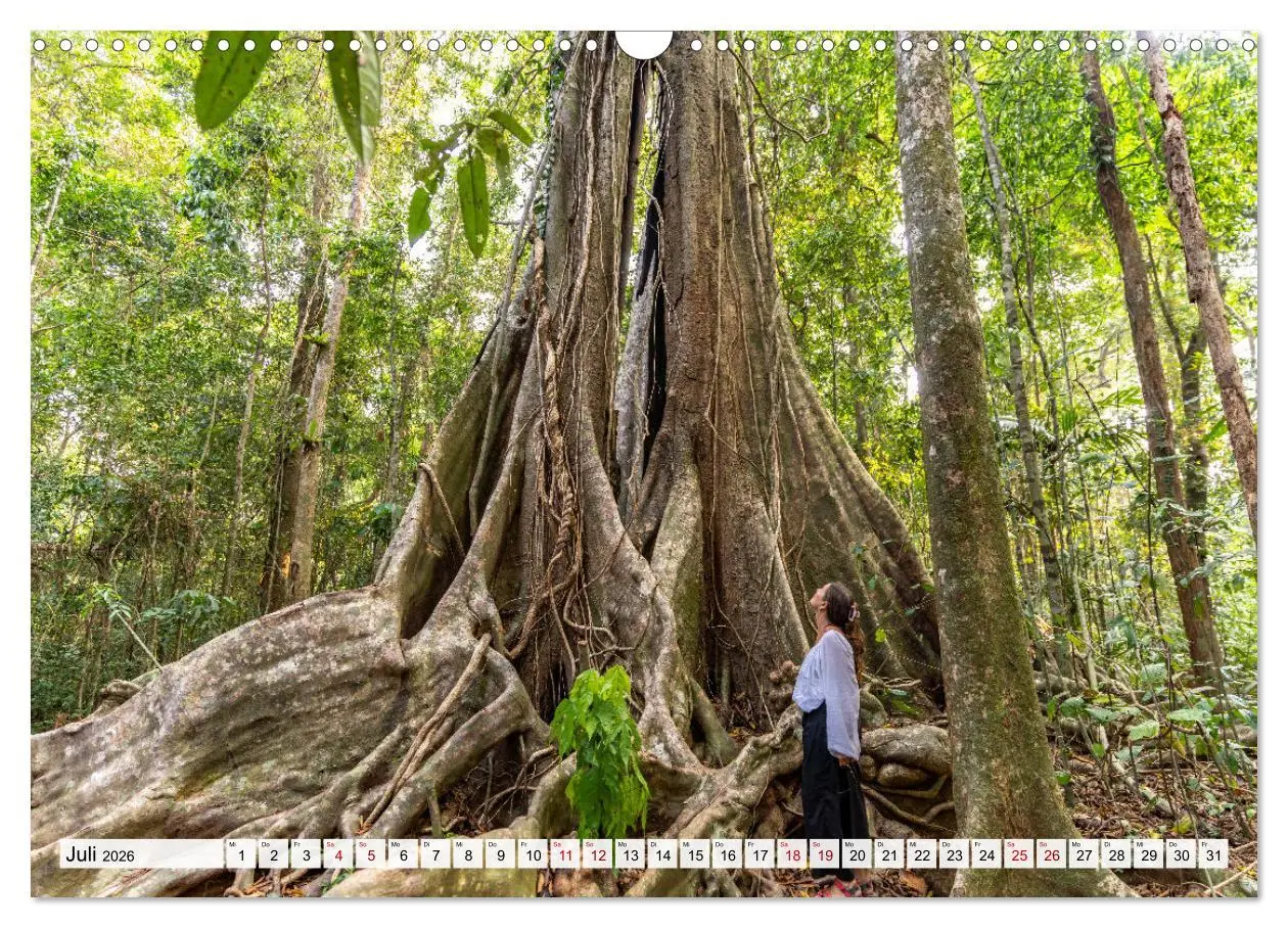 Bild: 9783457519110 | Thailand - Koh Kood (Wandkalender 2026 DIN A3 quer), CALVENDO...