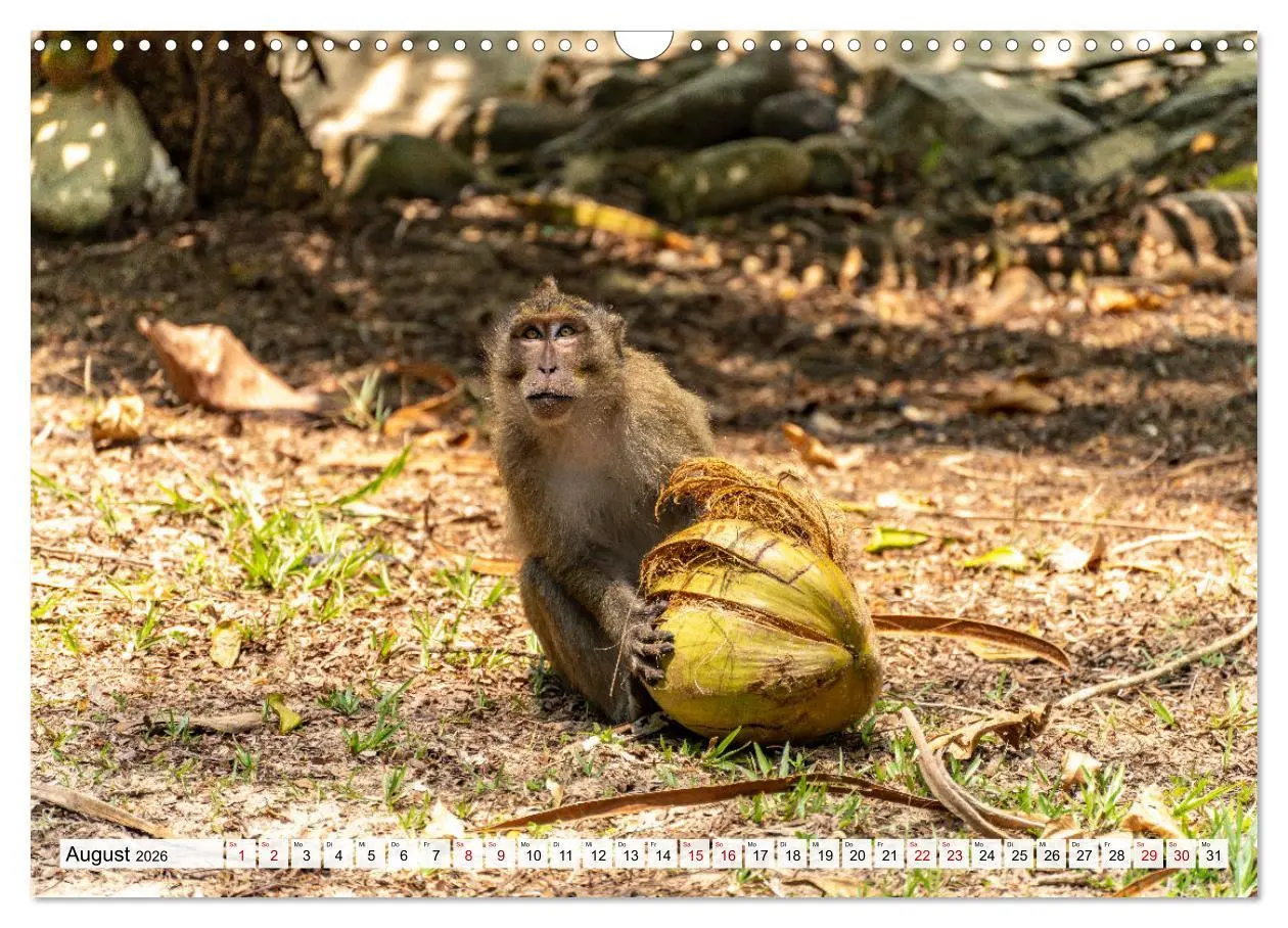 Bild: 9783457519110 | Thailand - Koh Kood (Wandkalender 2026 DIN A3 quer), CALVENDO...