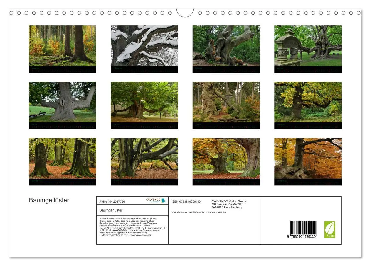Bild: 9783516229110 | Baumgeflüster (Wandkalender 2026 DIN A3 quer), CALVENDO Monatskalender