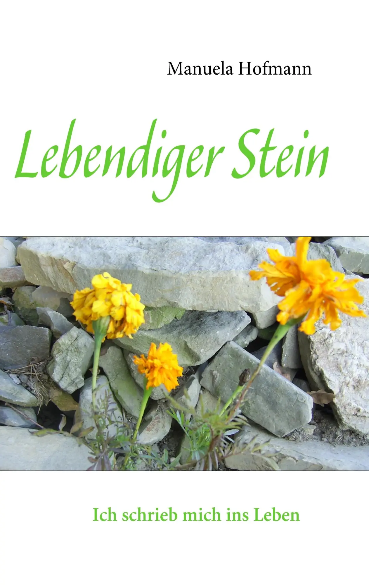Cover: 9783837089110 | Lebendiger Stein | Ich schrieb mich ins Leben | Manuela Hofmann | Buch