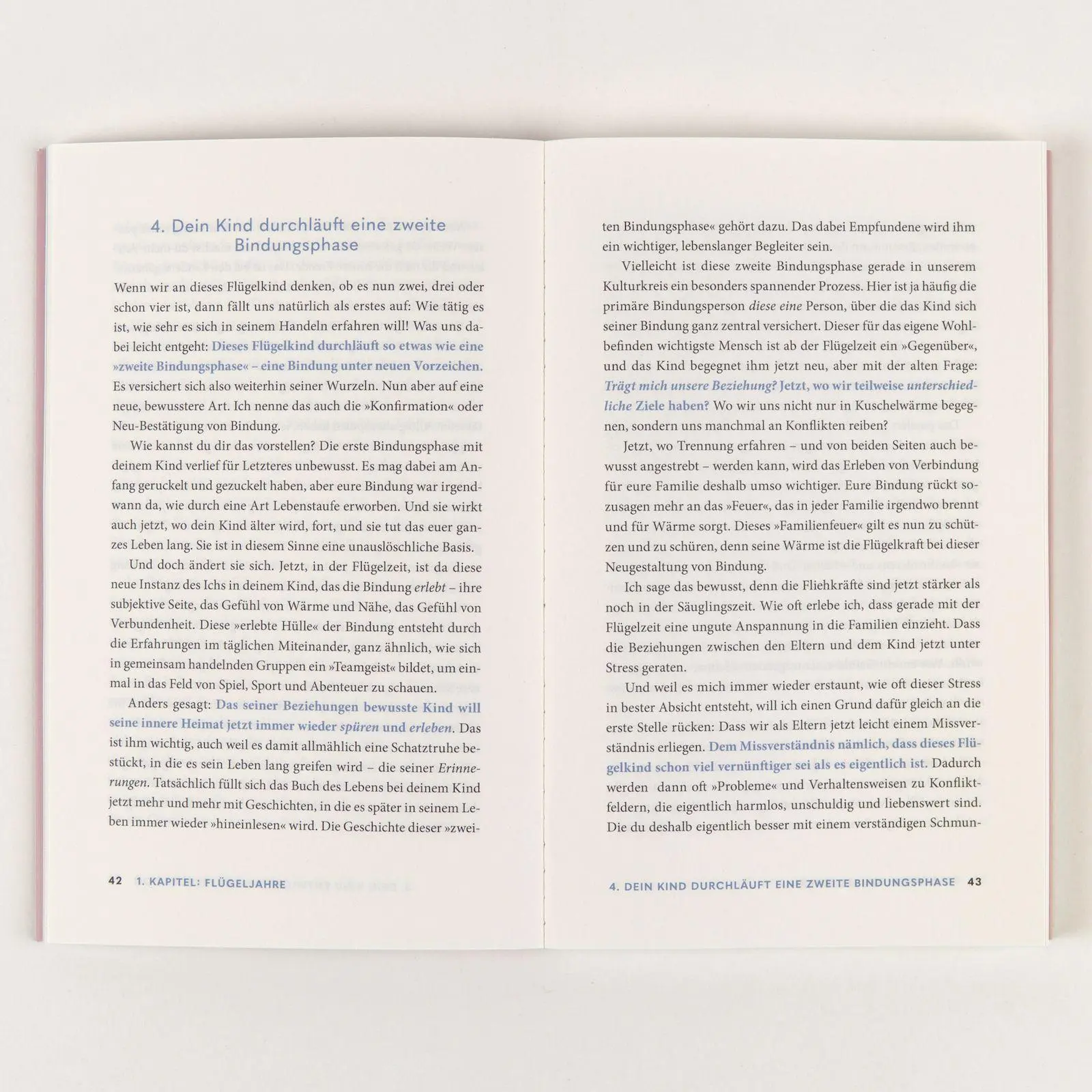 Bild: 9783407869210 | Auf die Flügel kommt es an | Herbert Renz-Polster | Taschenbuch | 2026