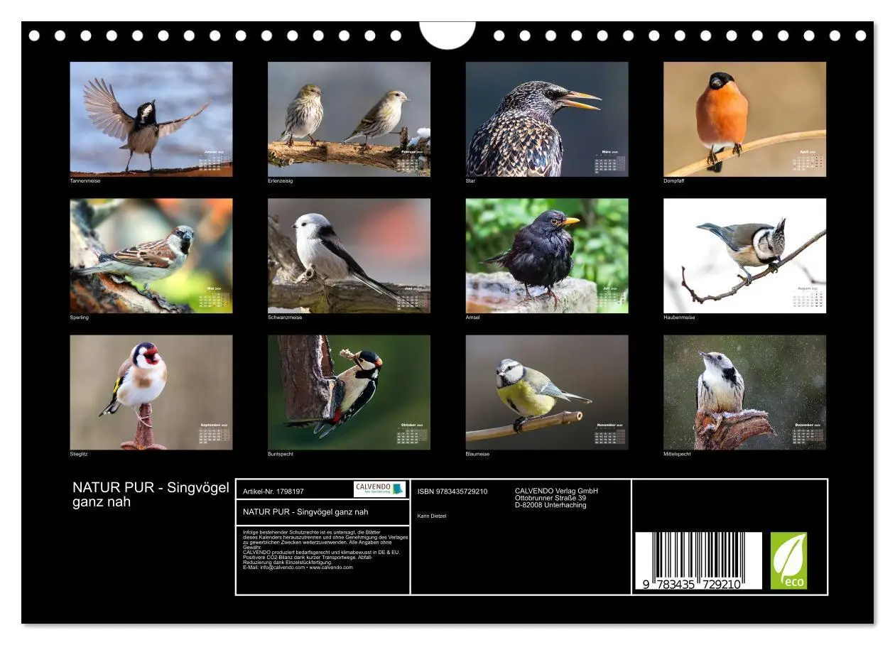 Bild: 9783435729210 | NATUR PUR - Singvögel ganz nah (Wandkalender 2025 DIN A4 quer),...