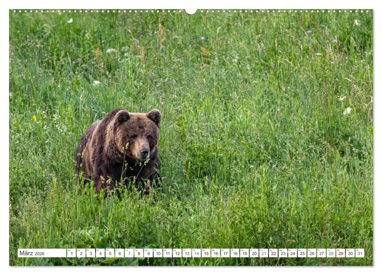 Bild: 9783457509210 | Faszination Bosnien-Herzegowina (Wandkalender 2026 DIN A2 quer),...
