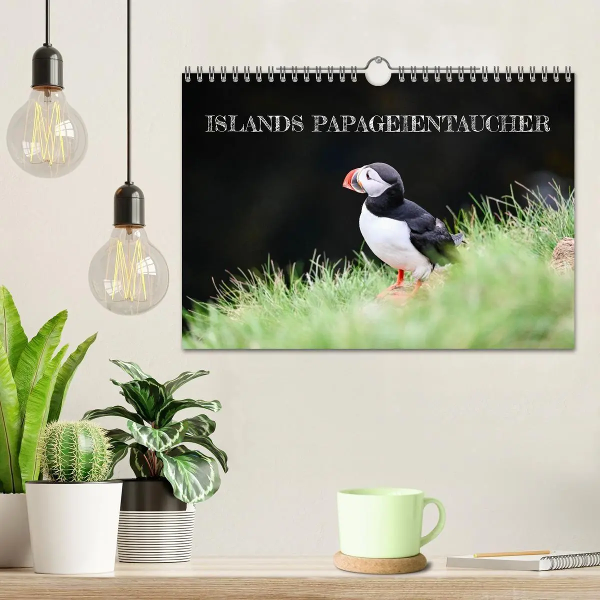 Bild: 9783516689310 | Islands Papageientaucher (Wandkalender 2026 DIN A4 quer), CALVENDO...